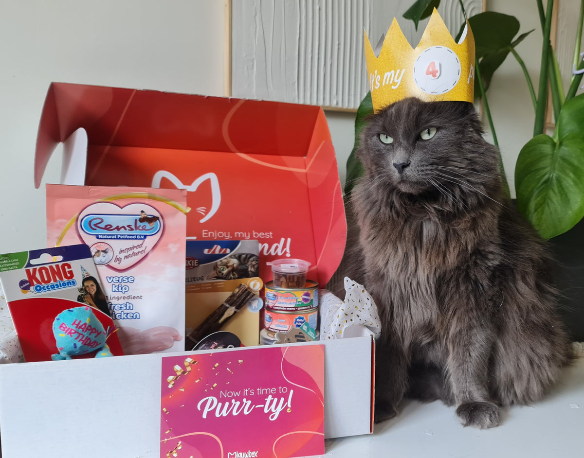 Verjaardag miauwbox