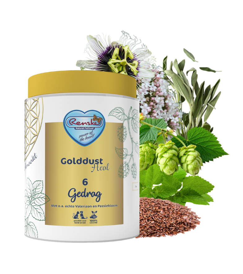 Golddust Heal 6 - Behaviour