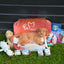 Puppy WoefBox