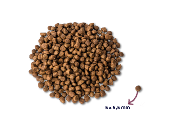 Renske Super Premium - Kitten - Fresh Turkey with Chicken