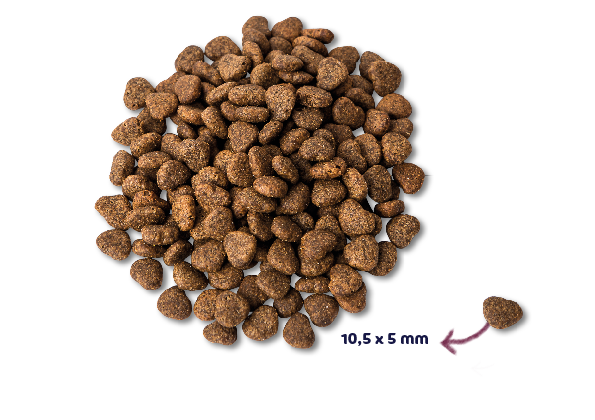 Renske Super Premium Cat - Fresh Chicken