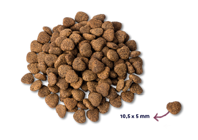 Renske Super Premium - Senior - Fresh Chicken with Duck