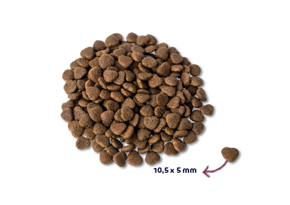 Renske Super Premium Cat - Fresh Salmon