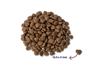 Renske Super Premium Cat - Fresh Salmon