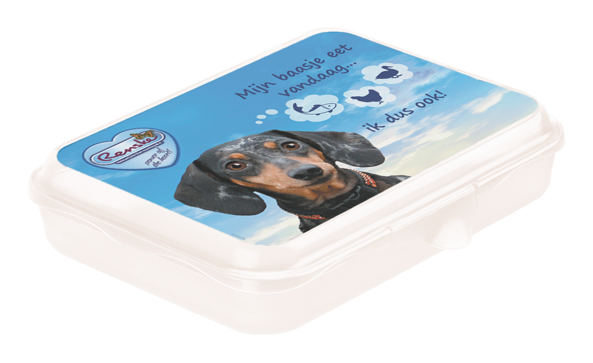 Renske Storage Box