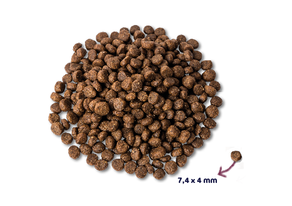 Super Premium - Puppy - Verse Kip en Lam