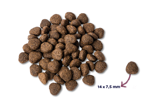 Renske Super Premium - Fresh Salmon Grain-free