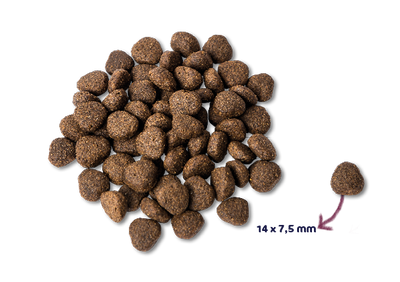 Renske Super Premium - Fresh Salmon Grain-free