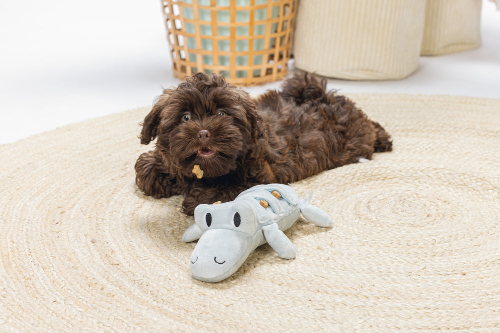 Puppy WoefBox